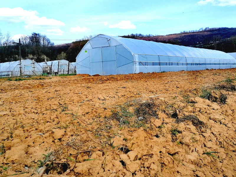 Kupci biraju provjereno-Visoko, 18.03.2026