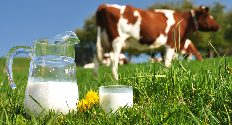 Oprema za mljekare i farmere